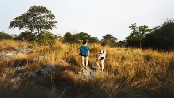 Curious Minds Ask: People Come to Uruguay to Watch Which Animal? Find Out What Nature Lovers Flock to See